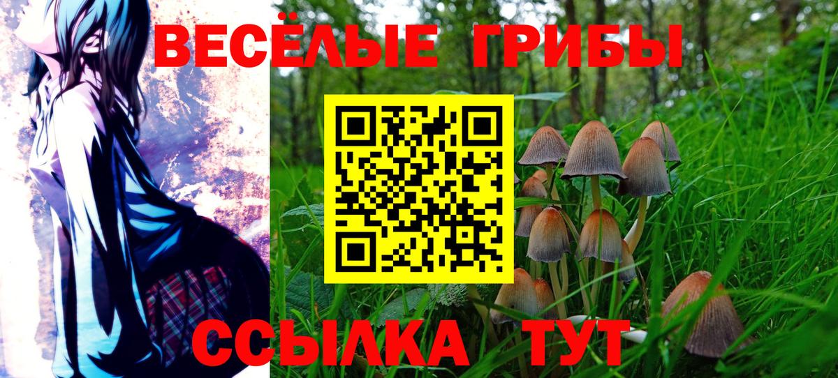 Псилоцибиновые грибы прущие грибы  Вход с VPN  закладки  Белая Калитва  Псилоцибиновые грибы Magic Shrooms 