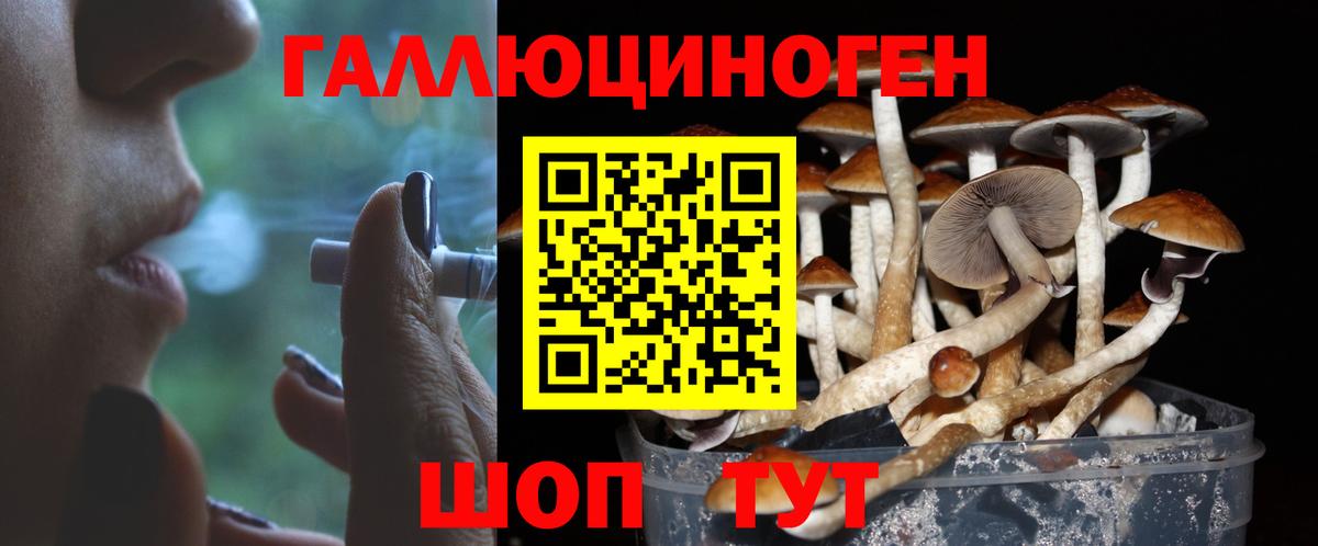 Псилоцибиновые грибы Psilocybine cubensis Белая Калитва